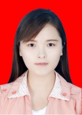 澳门网投