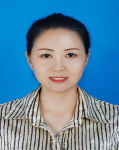 澳门网投